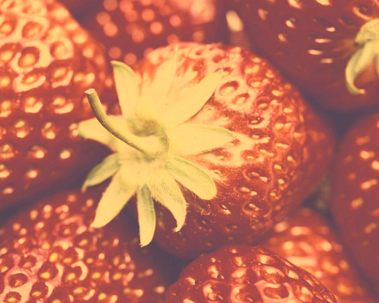 Сочная клубничка обои