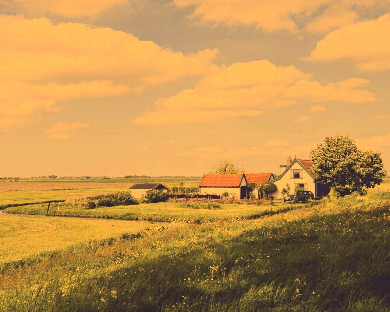 дом на лугу обои