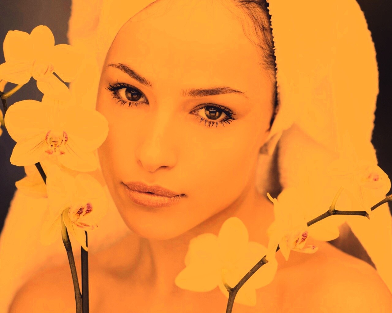 Естественная красота  обои