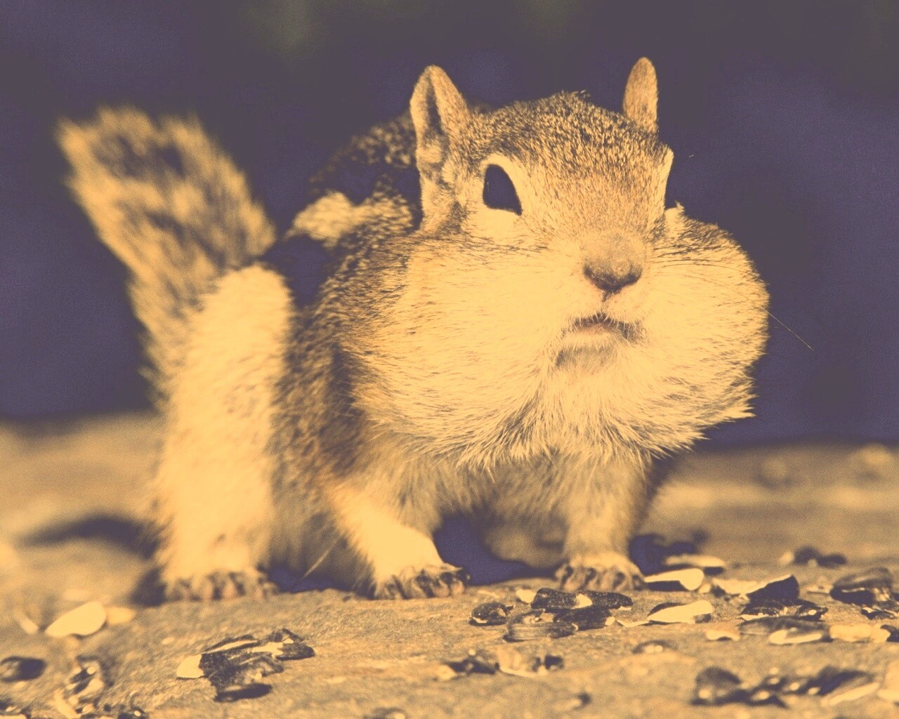 Не жадный, а бережливый обои