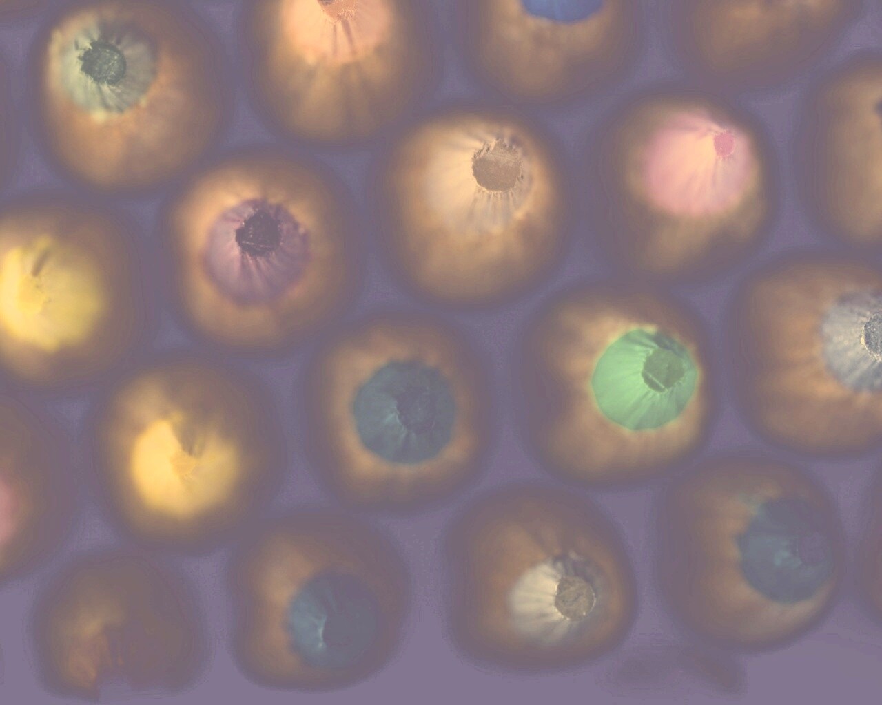 Карандаши обои