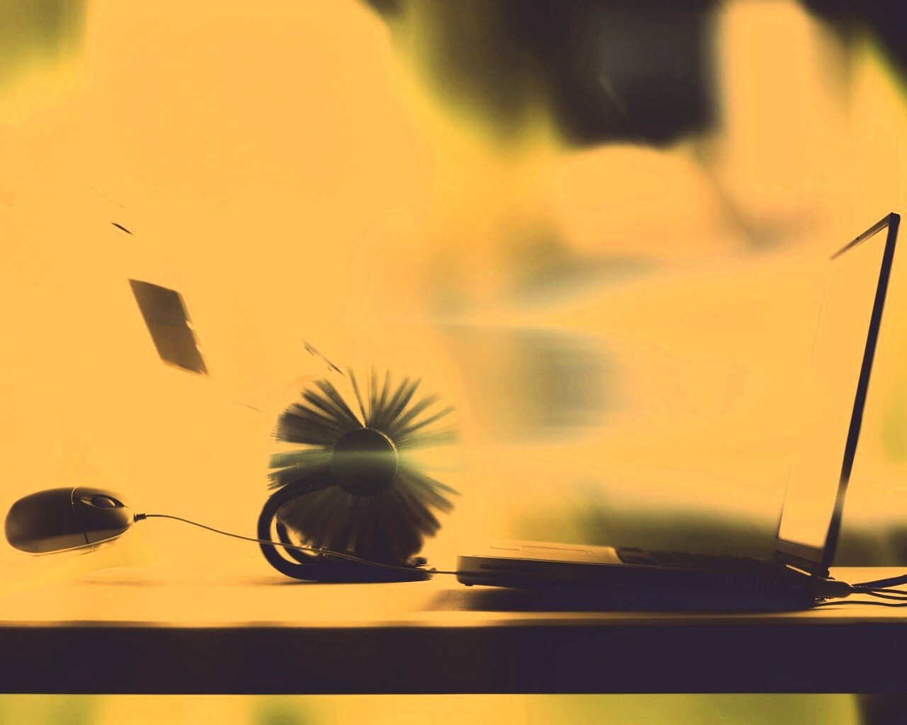 Дуновение цифрового ветра обои