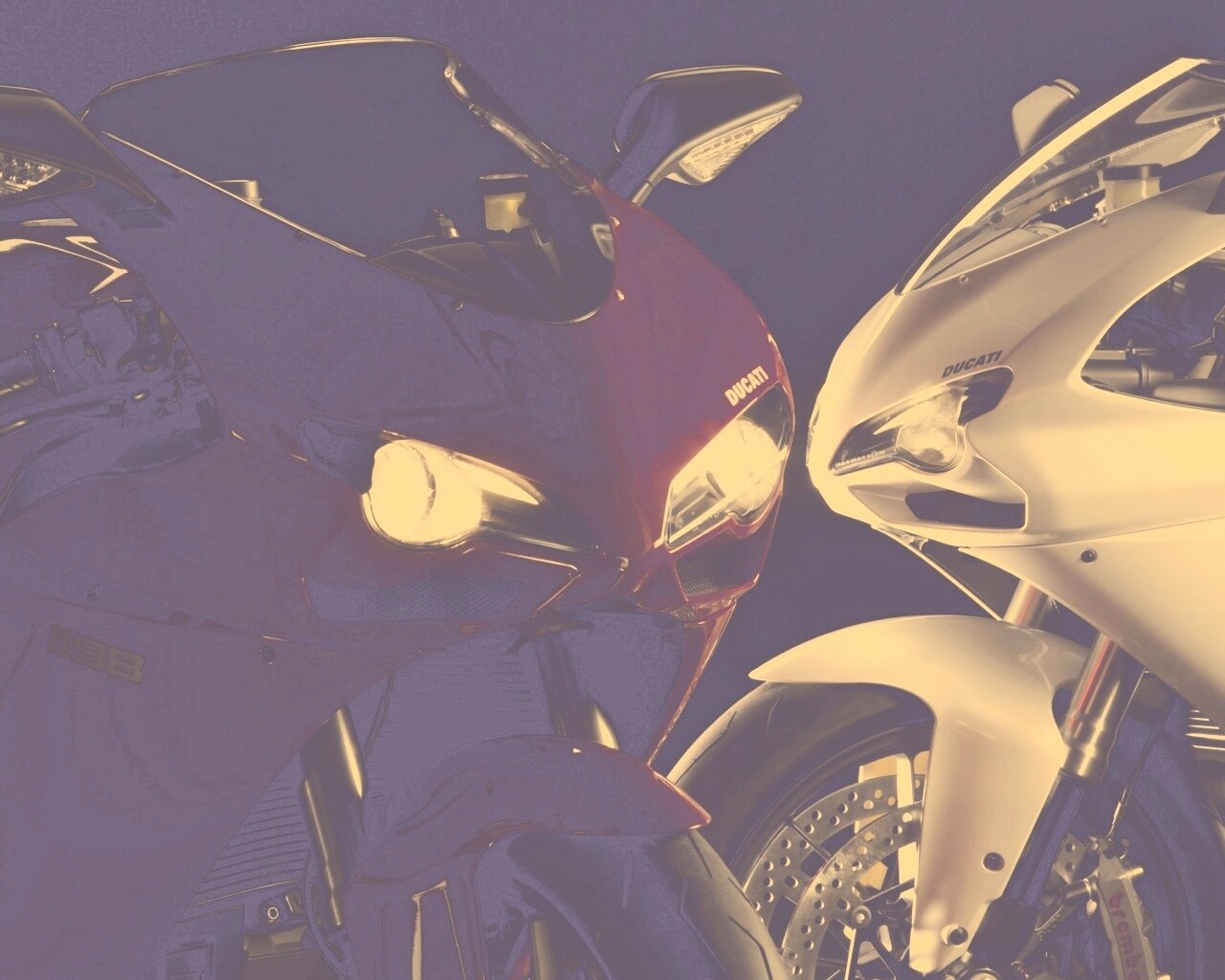 Красавцы  обои