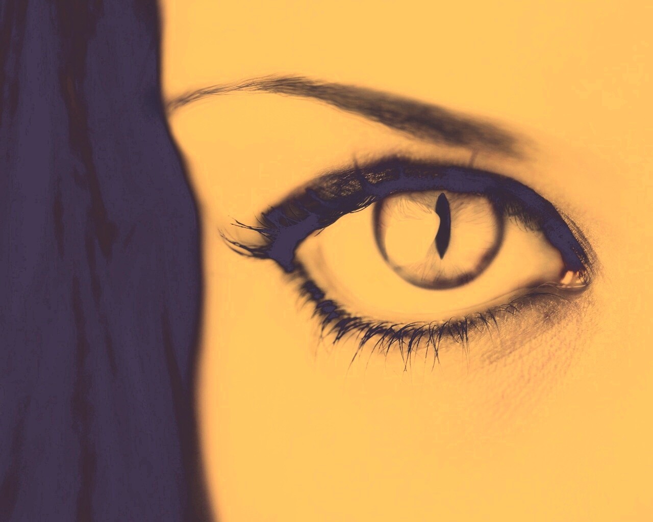 Кошачий глаз обои