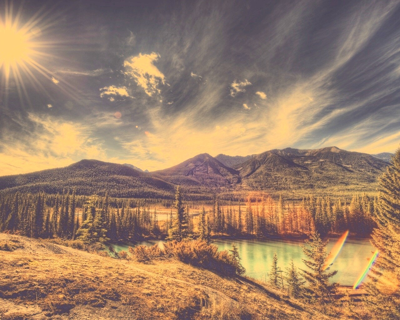 Болотистая местность обои