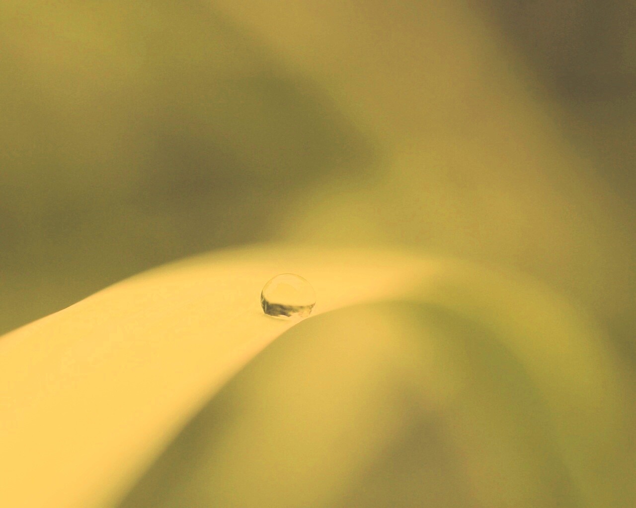 Капелька воды обои