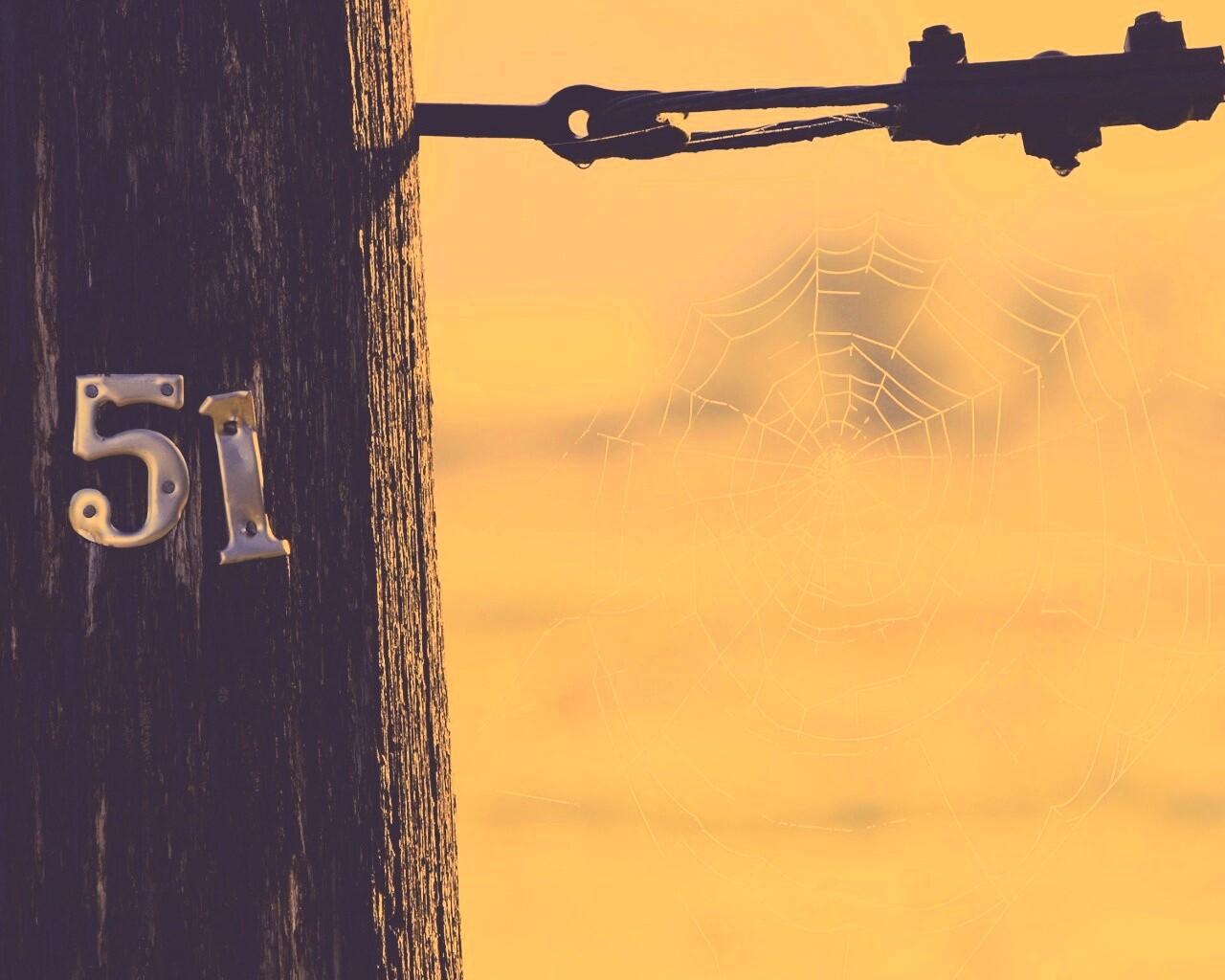 Паутина 51 обои