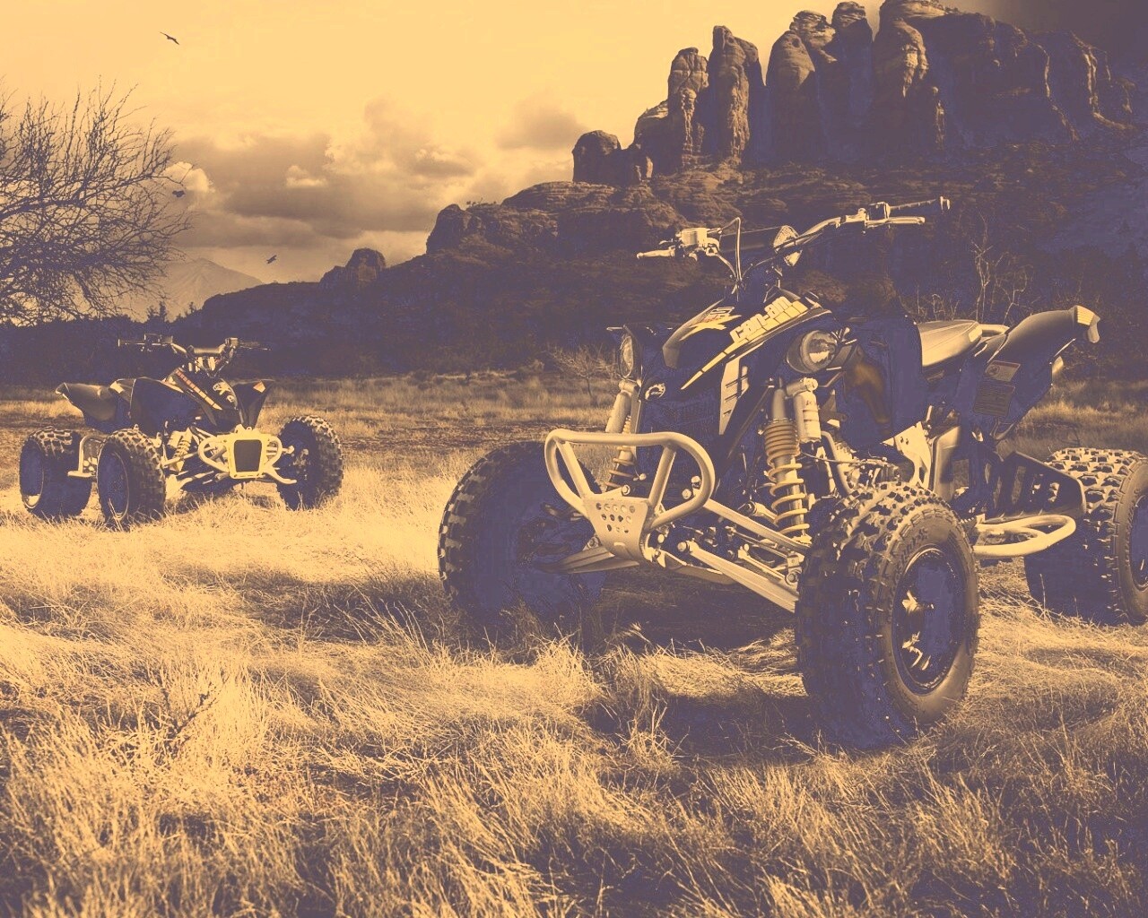 Квадроциклы обои