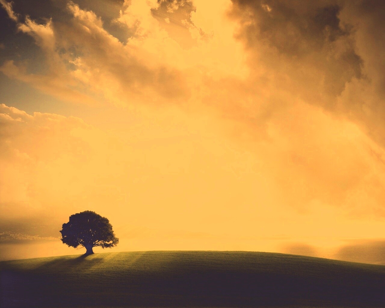 Холм и дерево обои