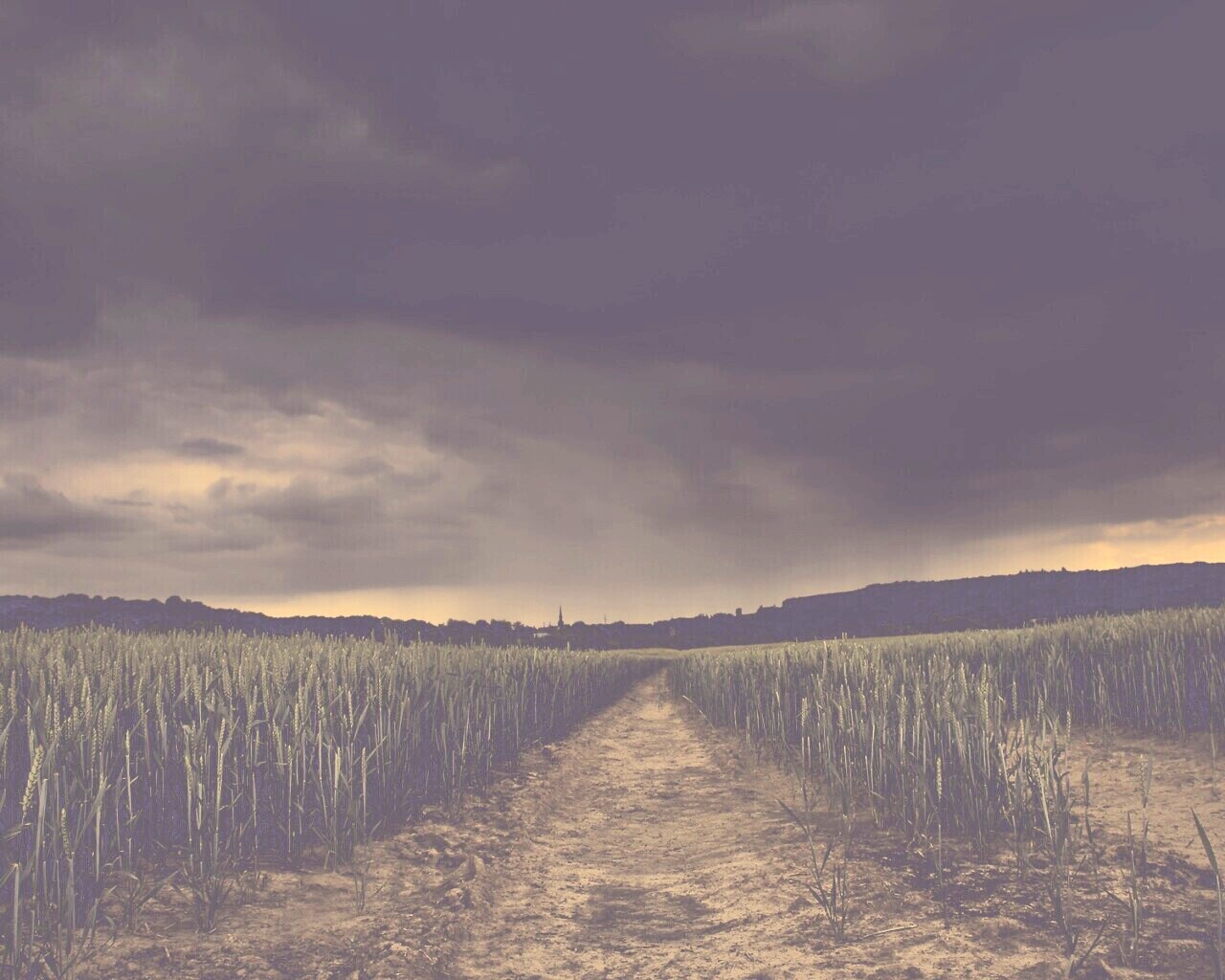 Поле ночью обои