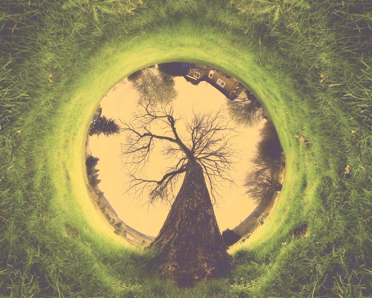 Другой взгляд на мир обои