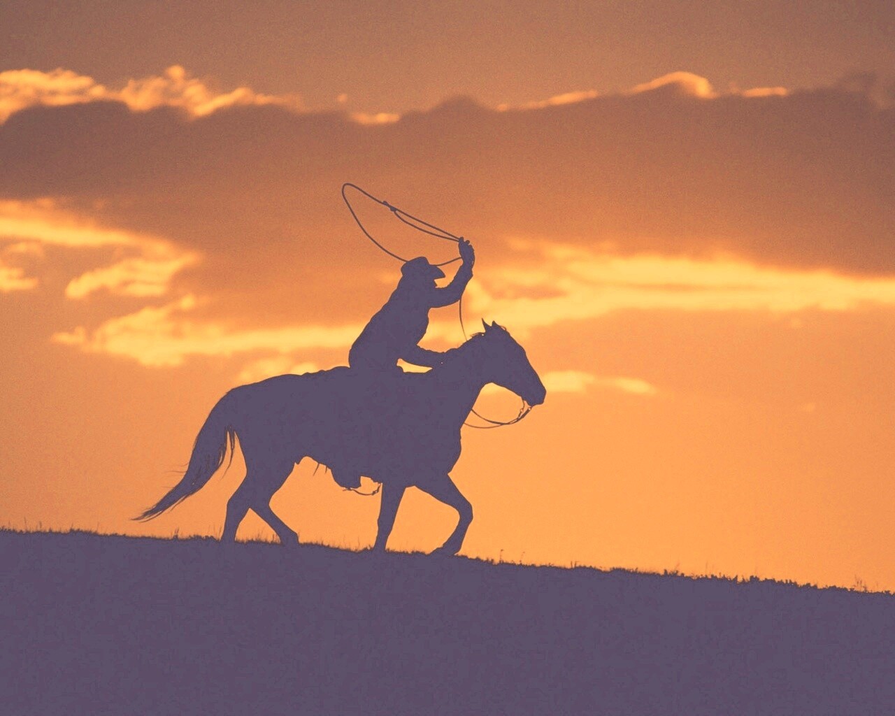 Силуэт ковбоя на закате обои