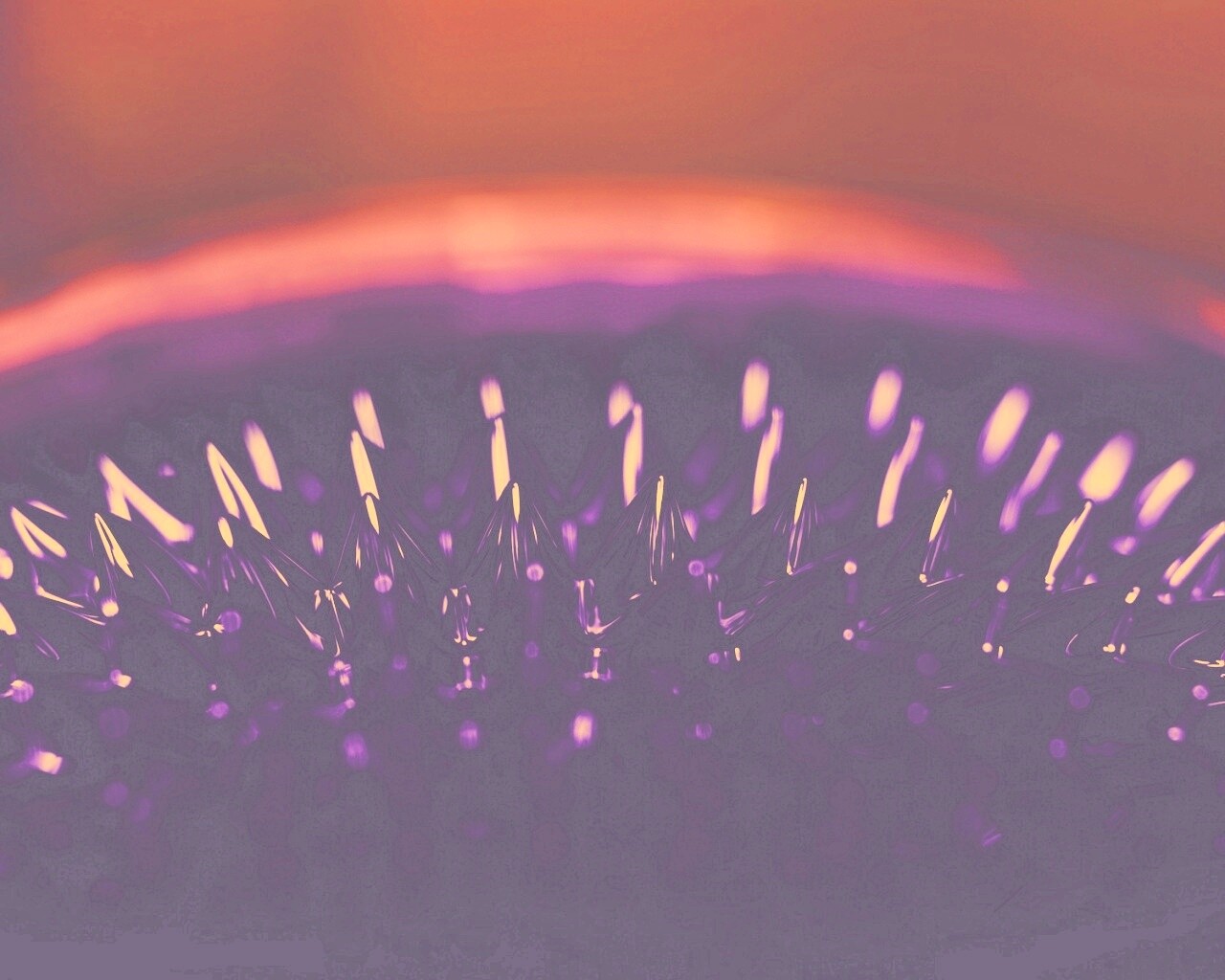 Игры с магнитной жидкостью обои