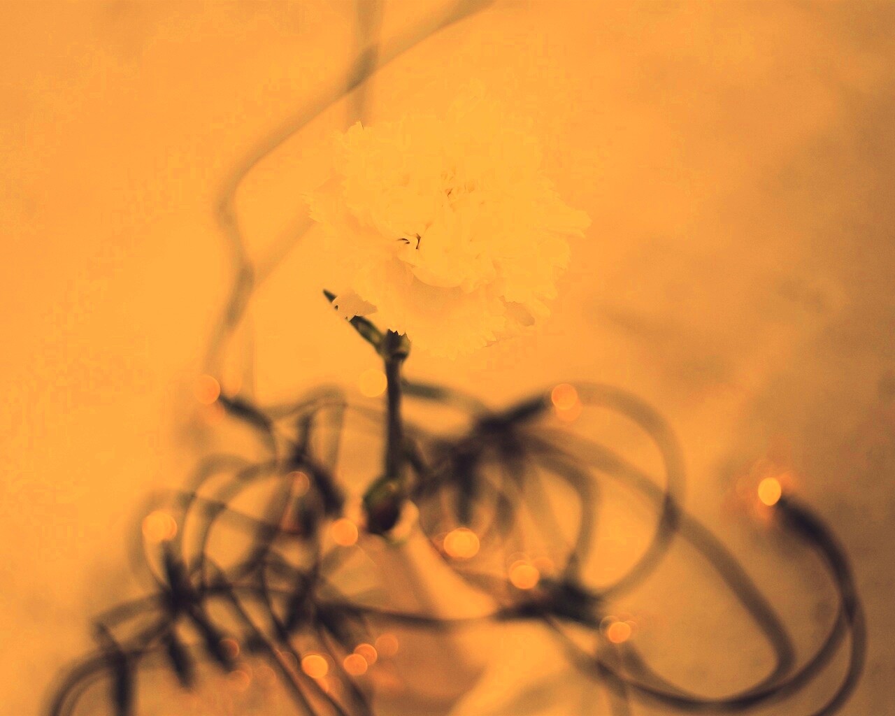 Электронный цветок обои