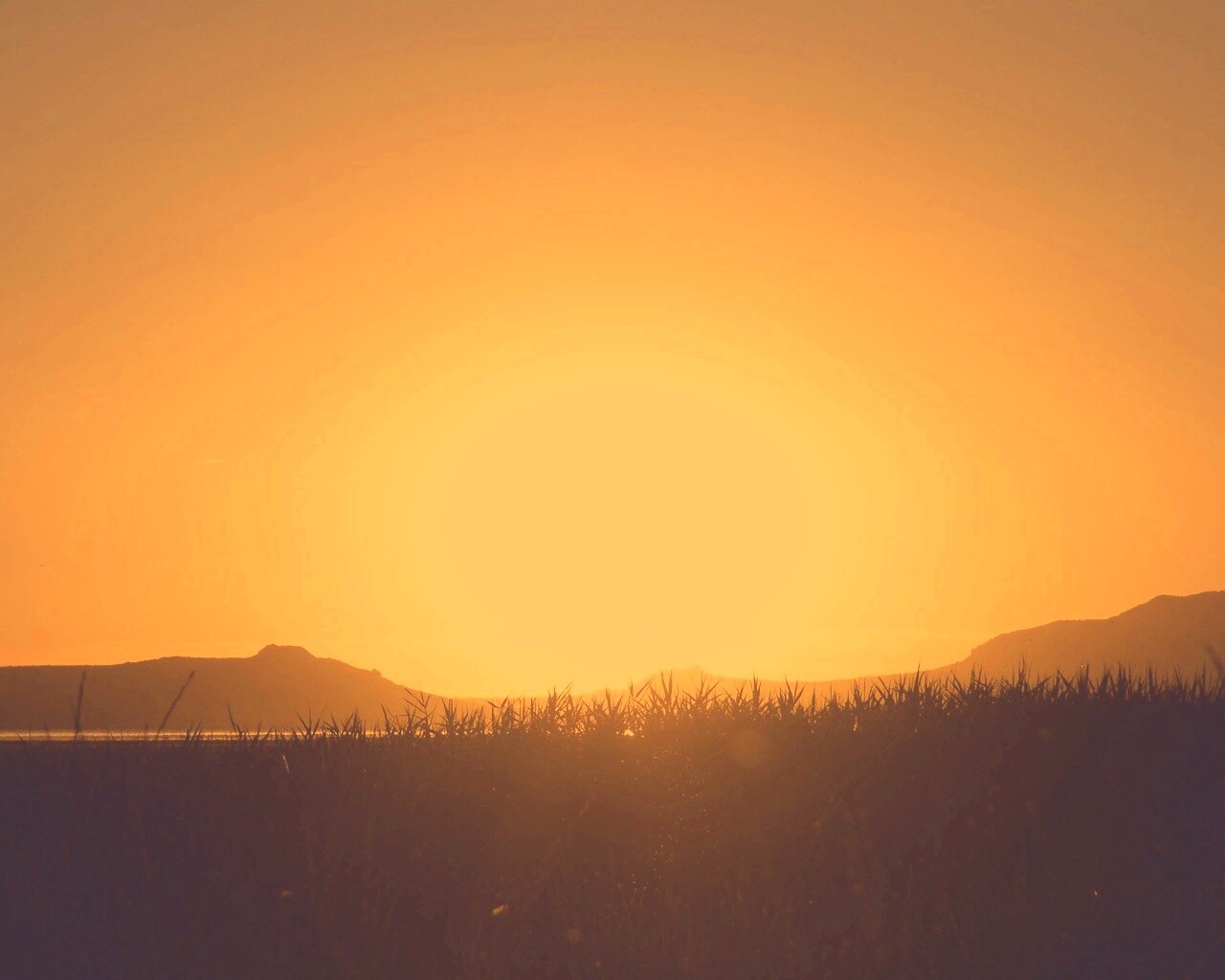 Сельский закат обои