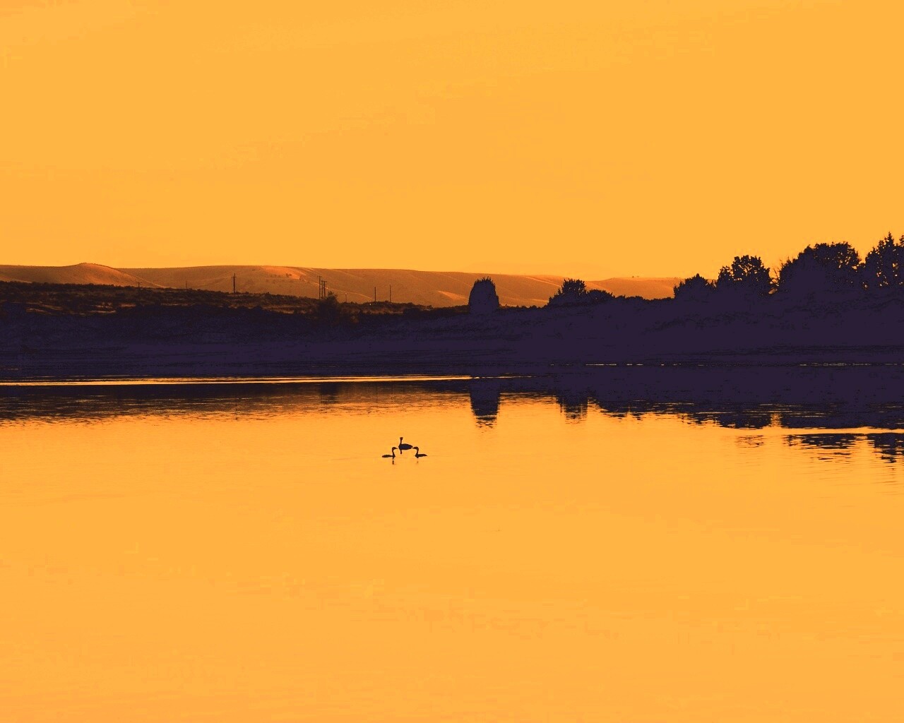 Утиное озеро обои