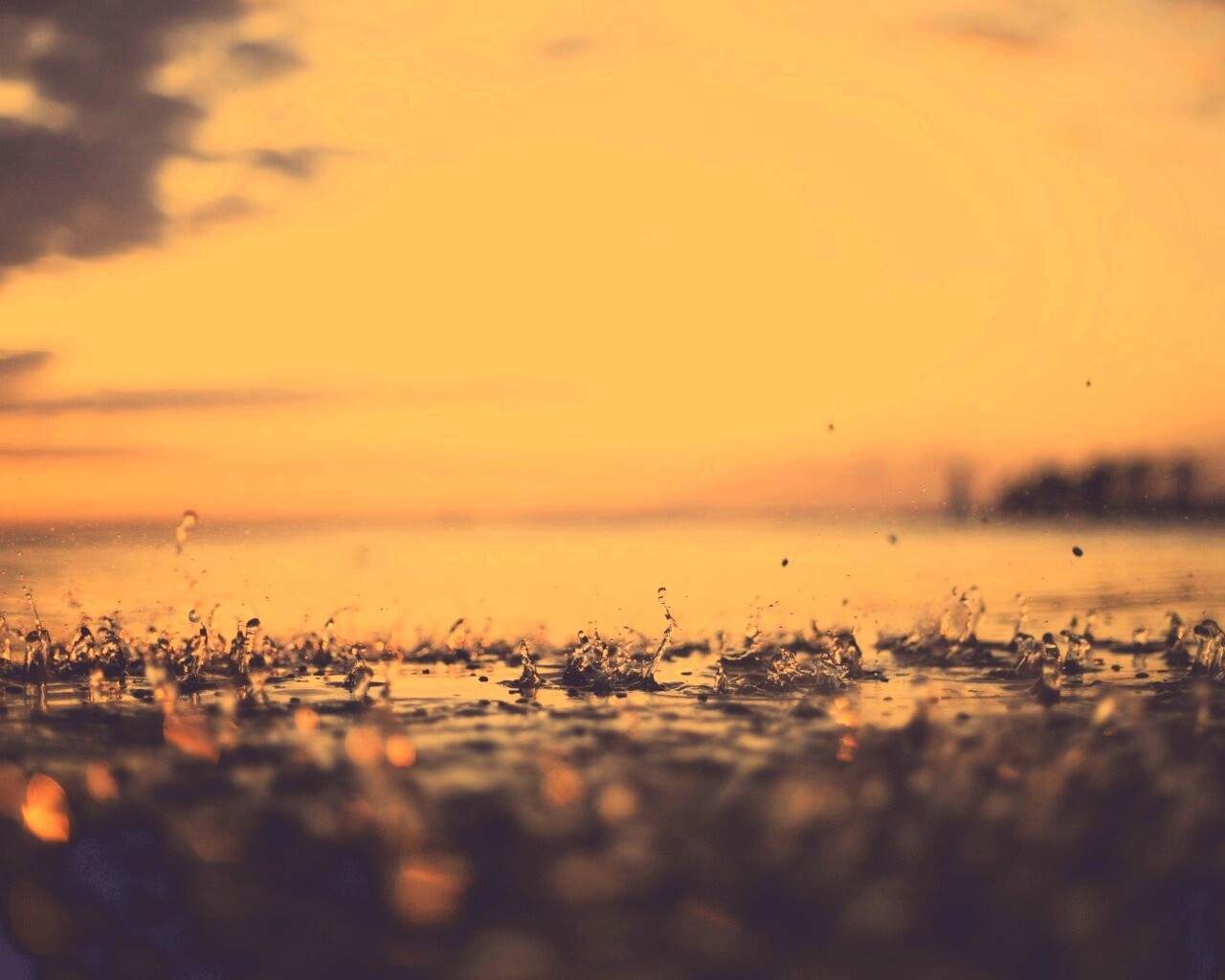 Дождь в макро обои