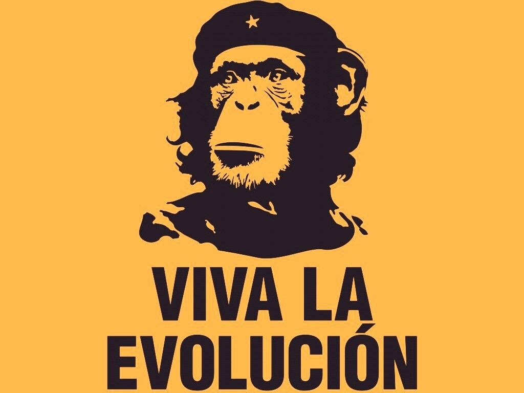 Viva la evolucion обои