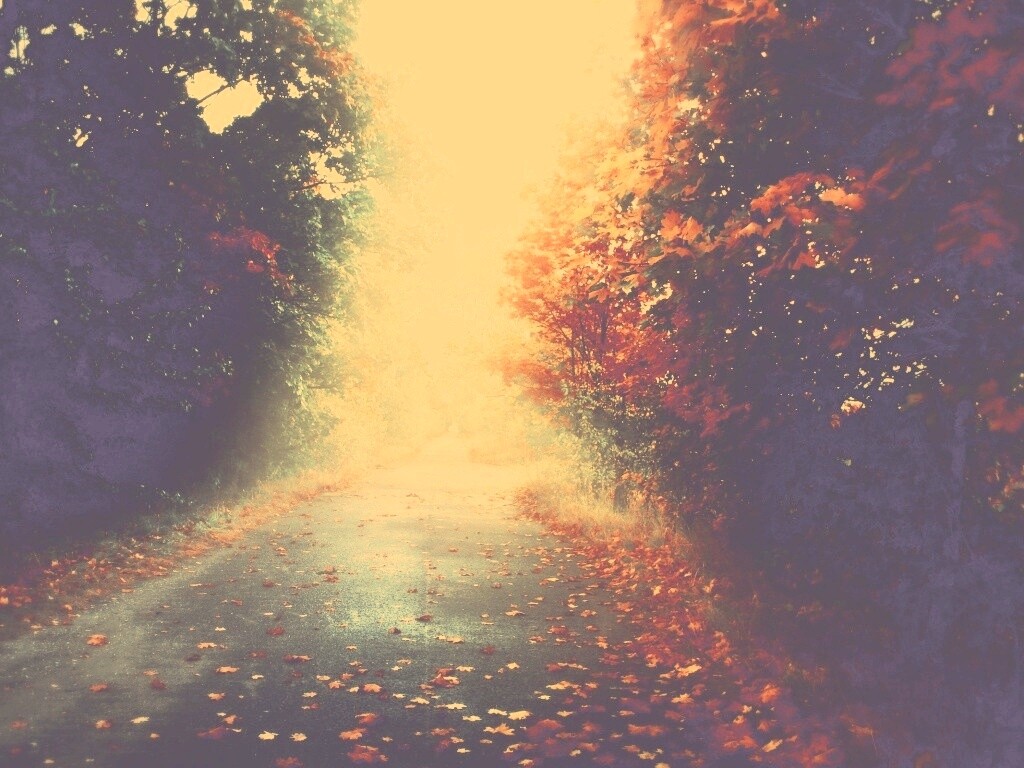 Желтая дорога обои