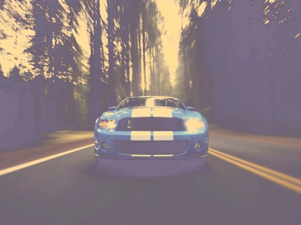 Форд Шелби обои