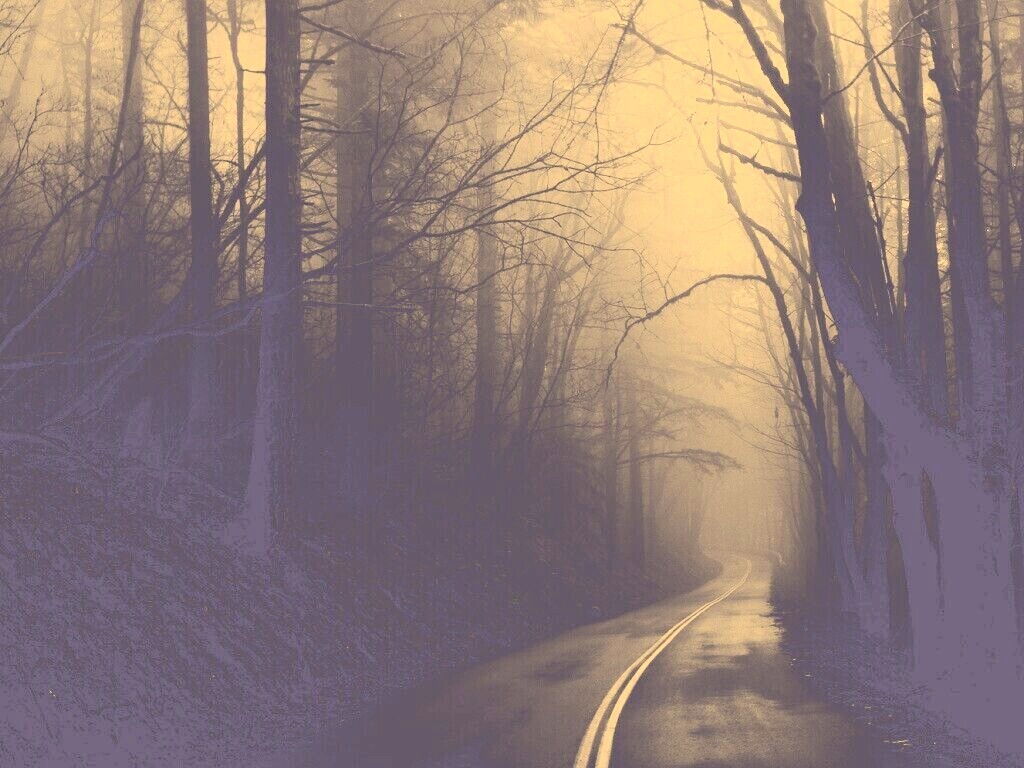 В туман обои