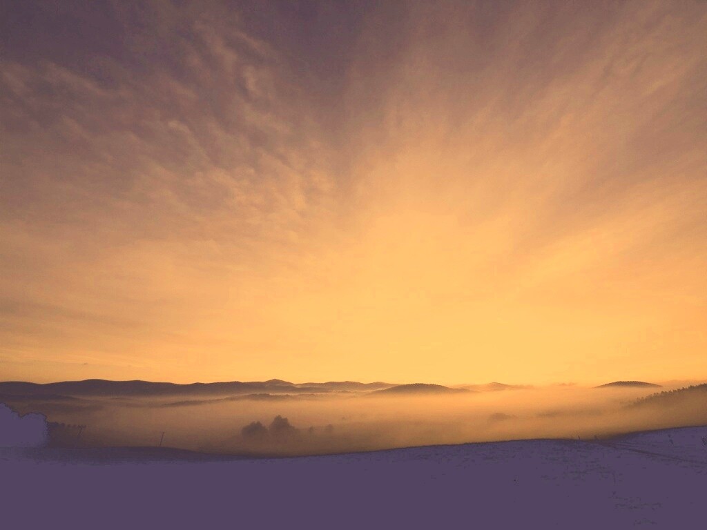 Утренний туман обои