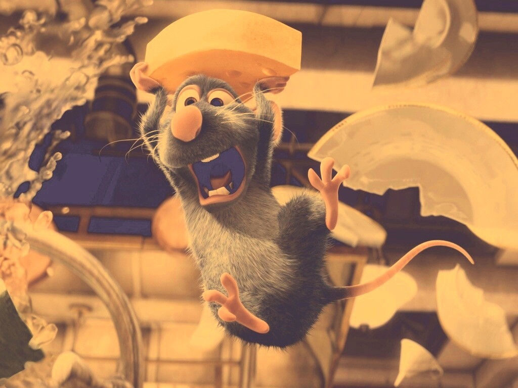 Крыса с сыром из Рататуя обои