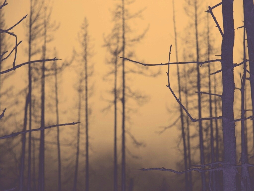 Безысходность обои