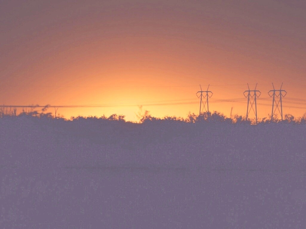 Закат за лесом обои