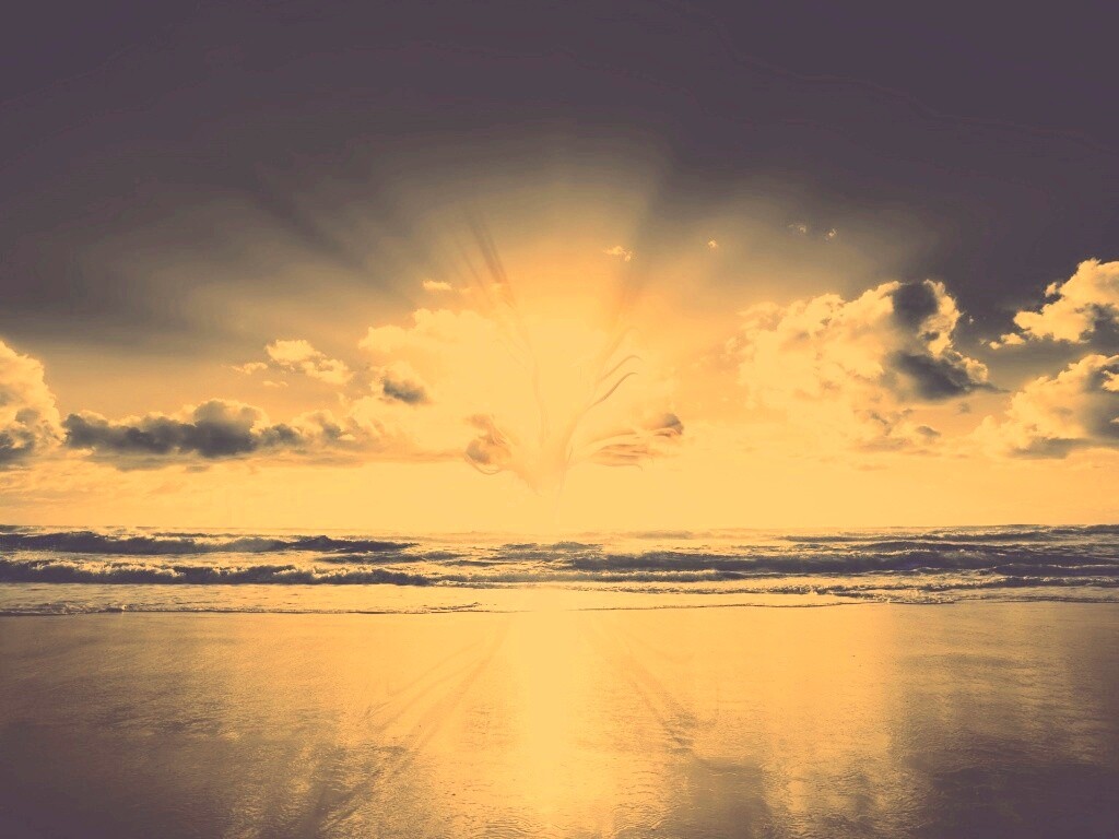 Абстрактные перья на фоне заката обои