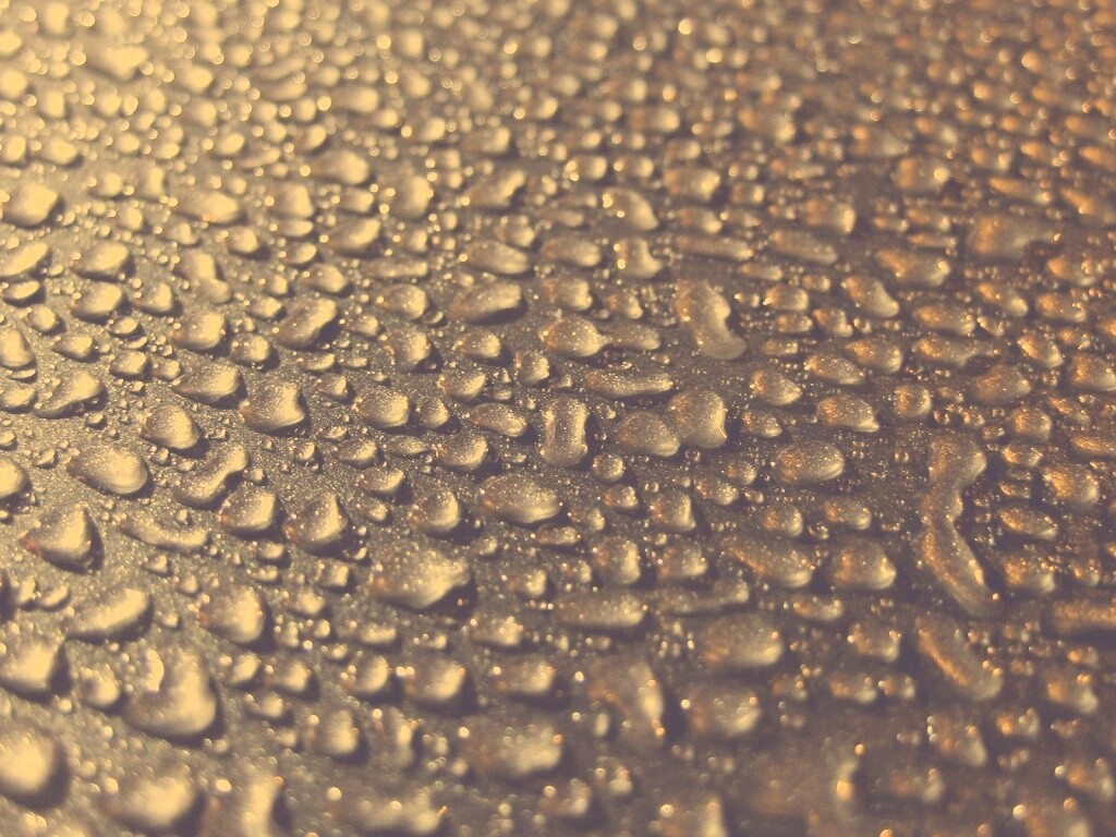 Вода собирается в капли обои