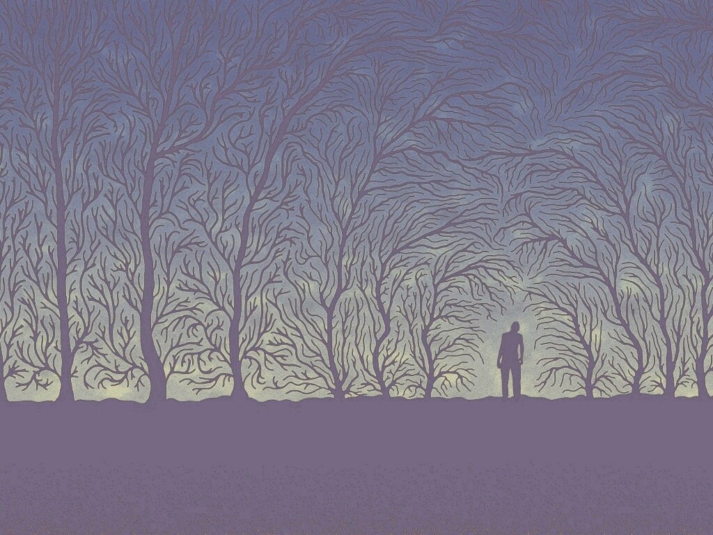 Смыкающиеся деревья обои