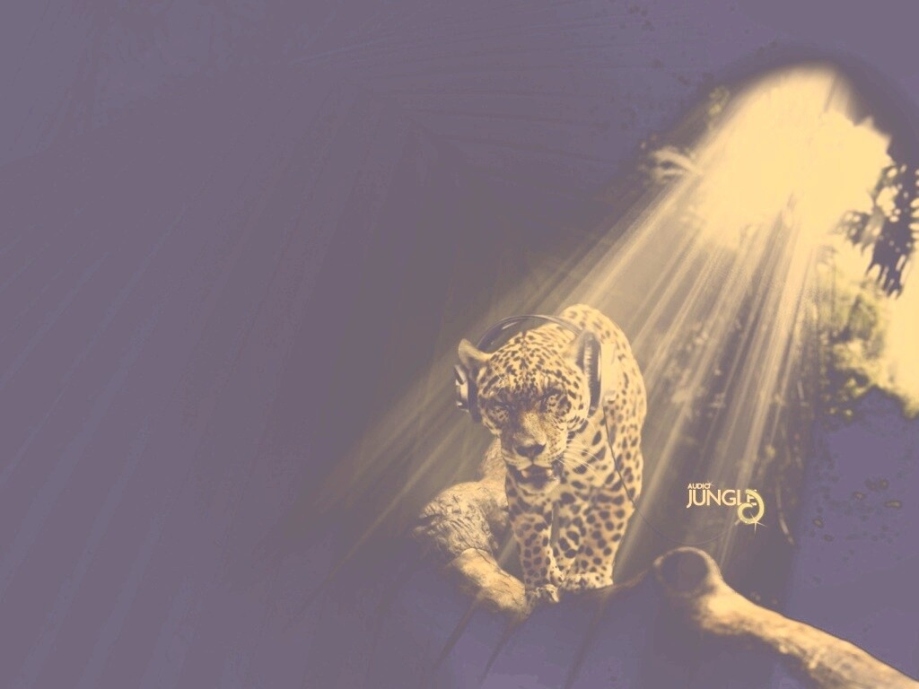 Ягуар в наушниках обои