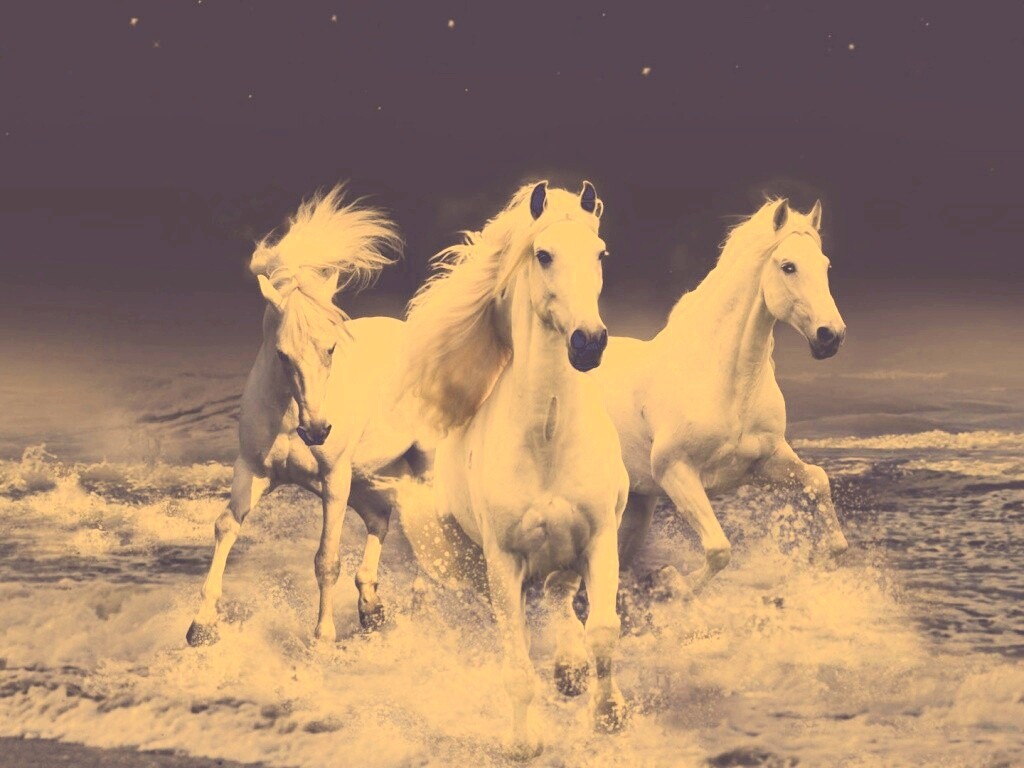 Тройка конец в море обои