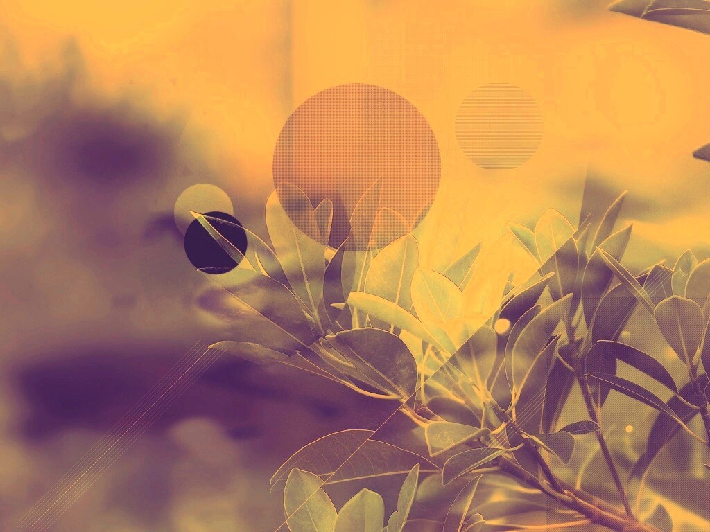 Синий фильтр с кргуами на фото листьев обои