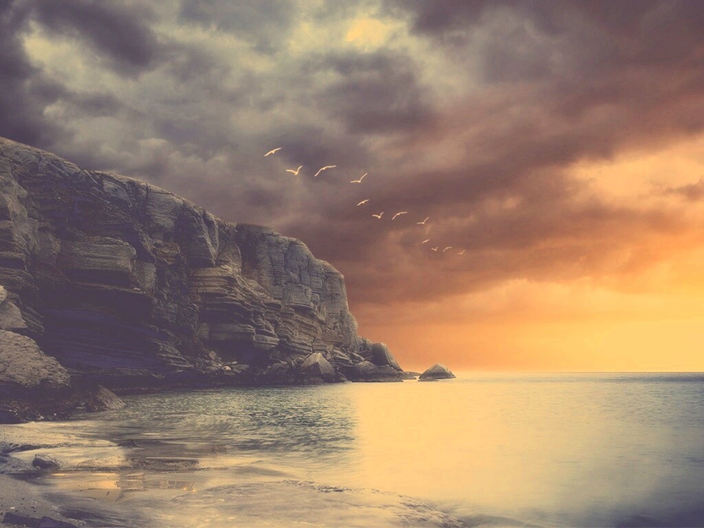 Чайки над скалами обои