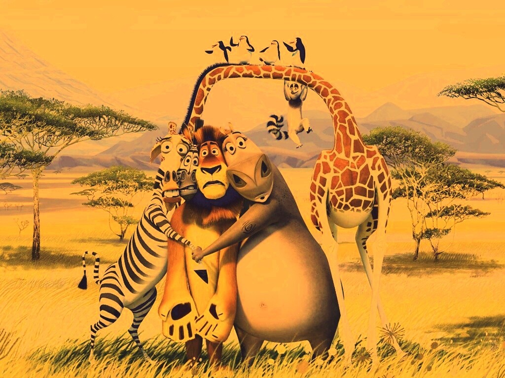 Герои мультфильма Мадагаскар обои