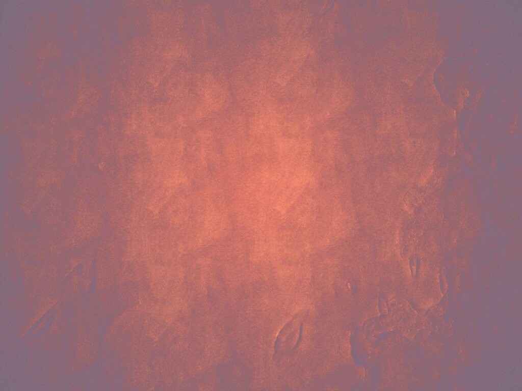 Красные пятна обои