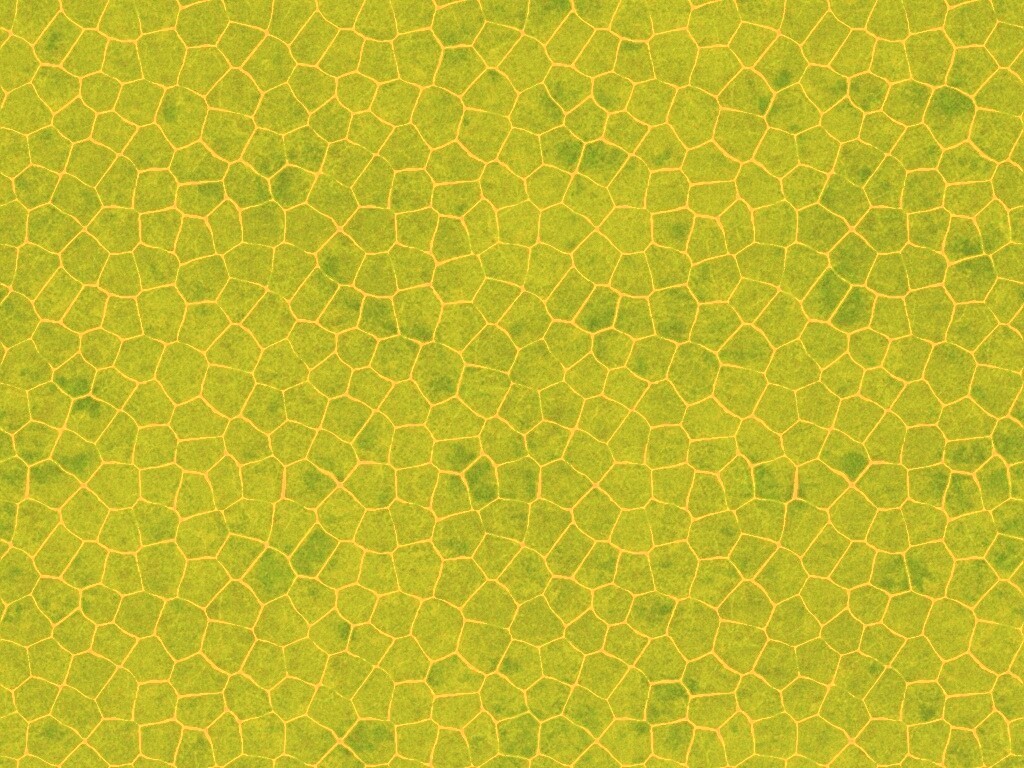 Зелёные сегменты обои