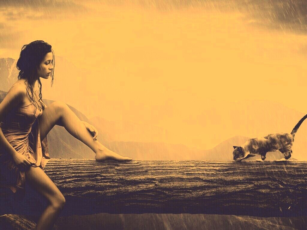 Девушка и кошка обои