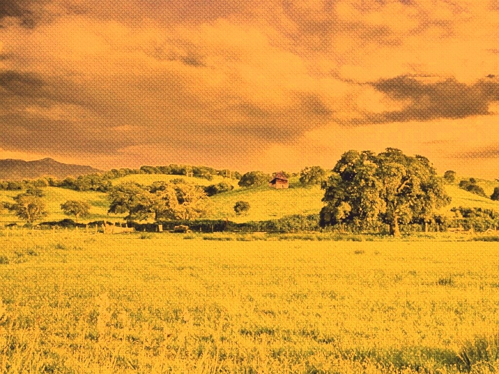 Домик на холмах обои