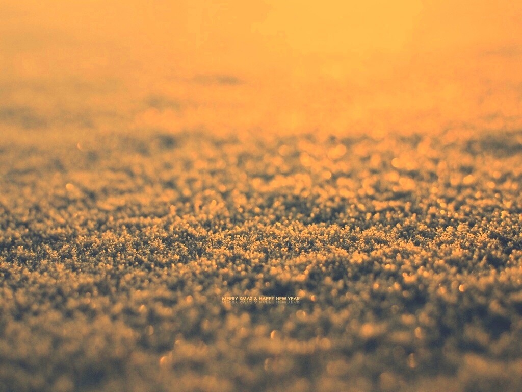 Снежный покров обои