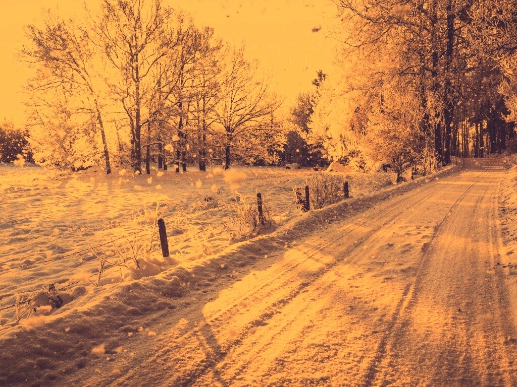 Снежная дорога залитая солнцем обои