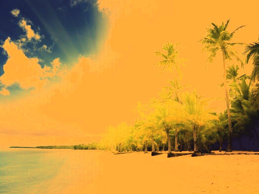 Тропическое побережье обои