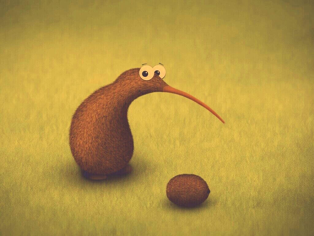 Киви и киви обои