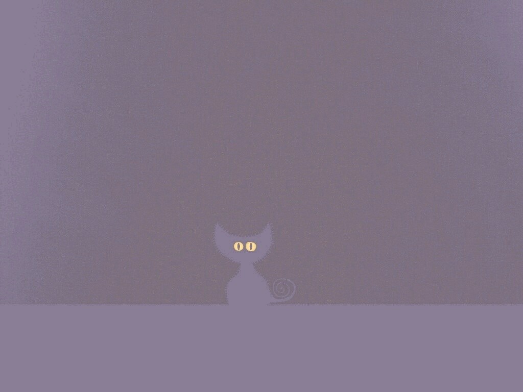 Чёрный кот в ночи обои