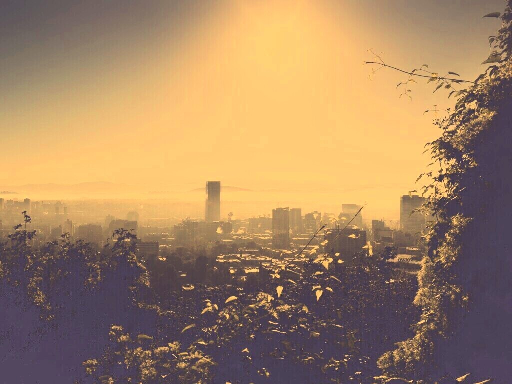 Утро в раю обои