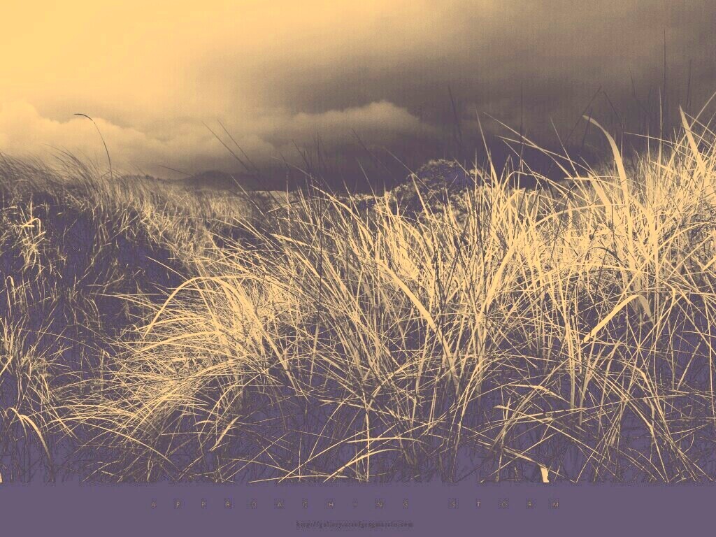 В ожидании шторма обои