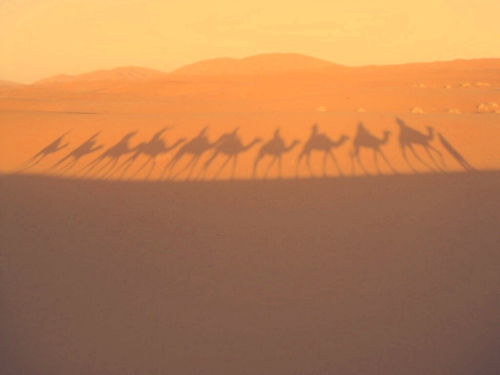 Караван обои