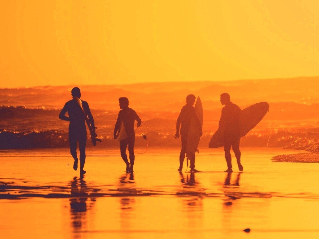 Серфингисты обои